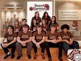 s sweet harmony | WebJET CMS